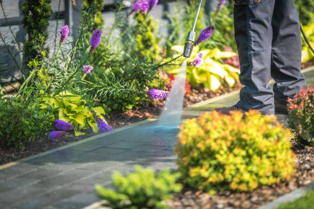 Best Roof Cleaning and Mildew Removal in Dewitt, IA