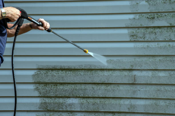 Best Deck and Patio Pressure Washing in Dewitt, IA